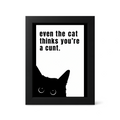 Foul Frame | Even The Cat Thinks you're a Cunt | 6" x 4"