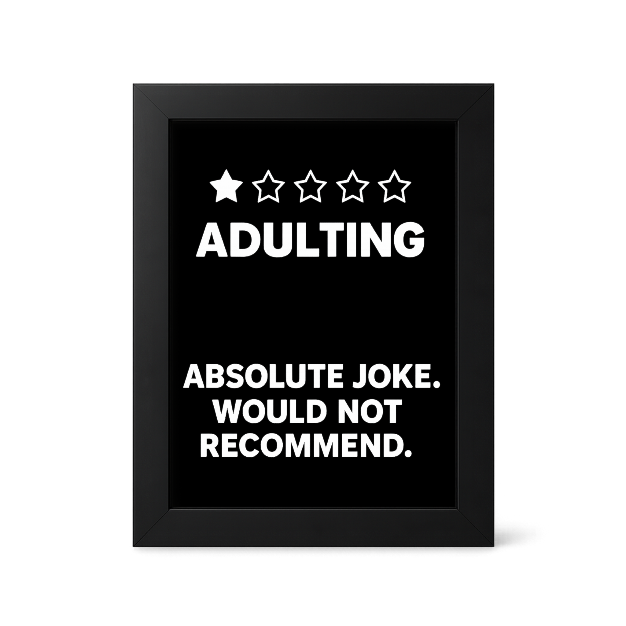 Foul Frame | Adulting Absolutely Would Not Recommend | 6" x 4"