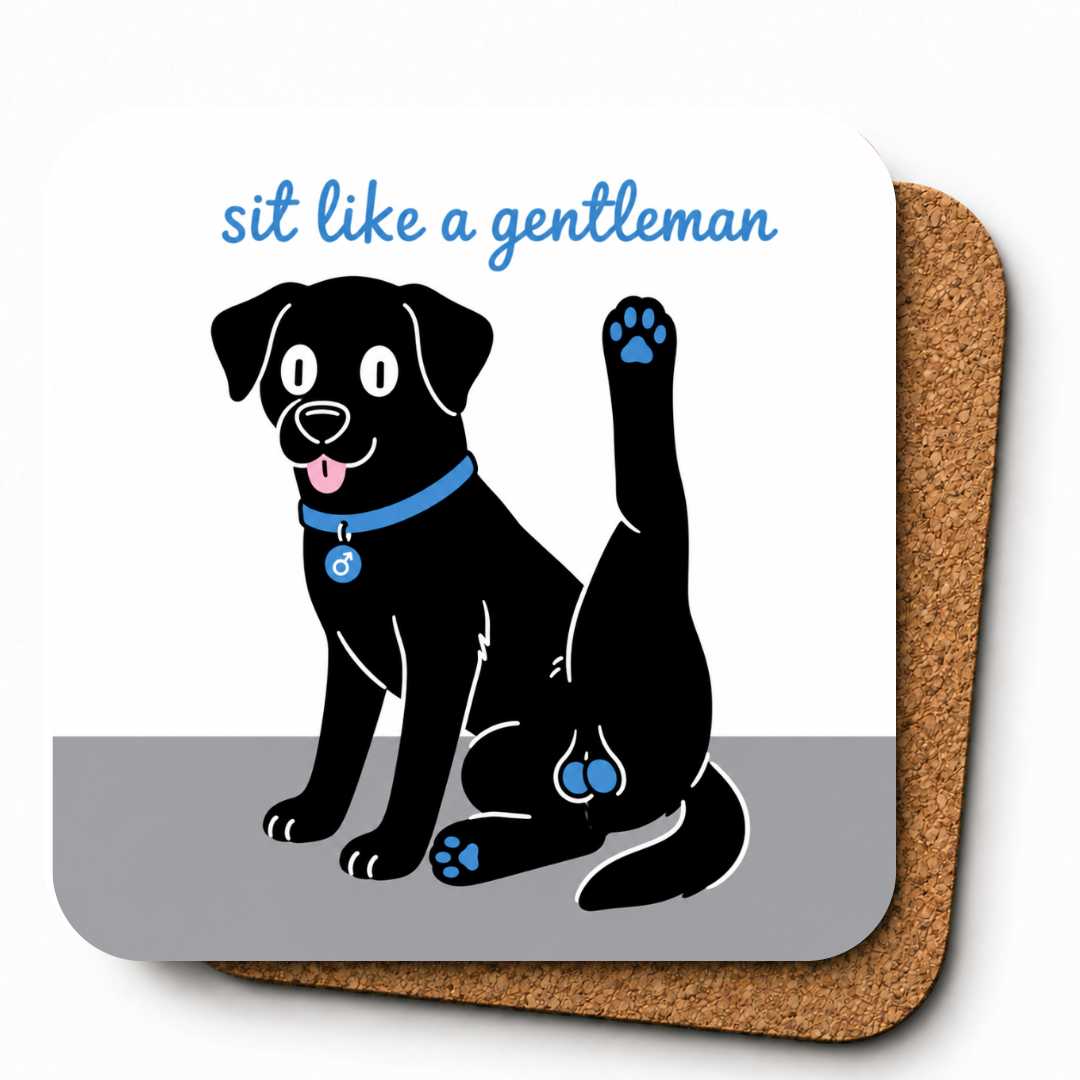 Cheeky Coasters | Sit Like a Gentleman