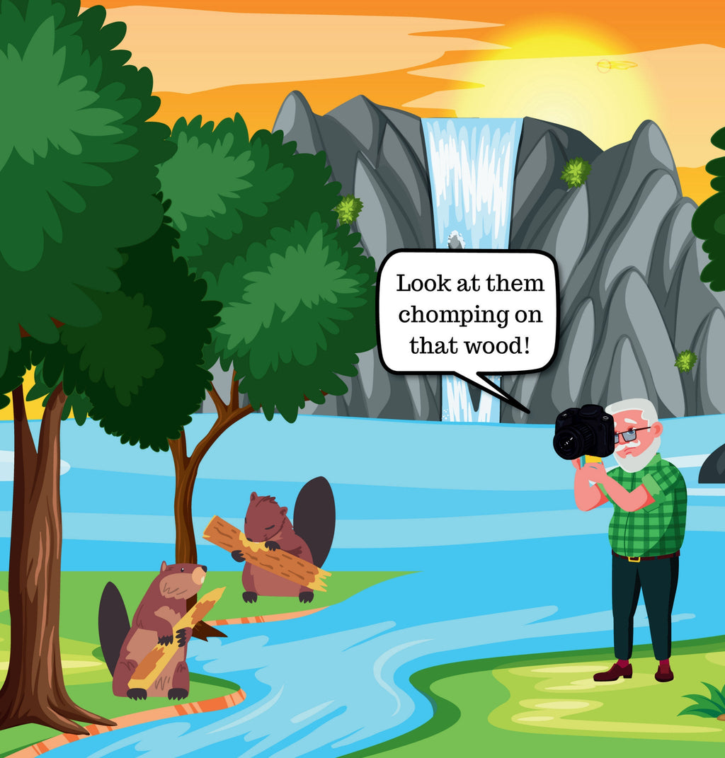Barry The Beaver Photographer