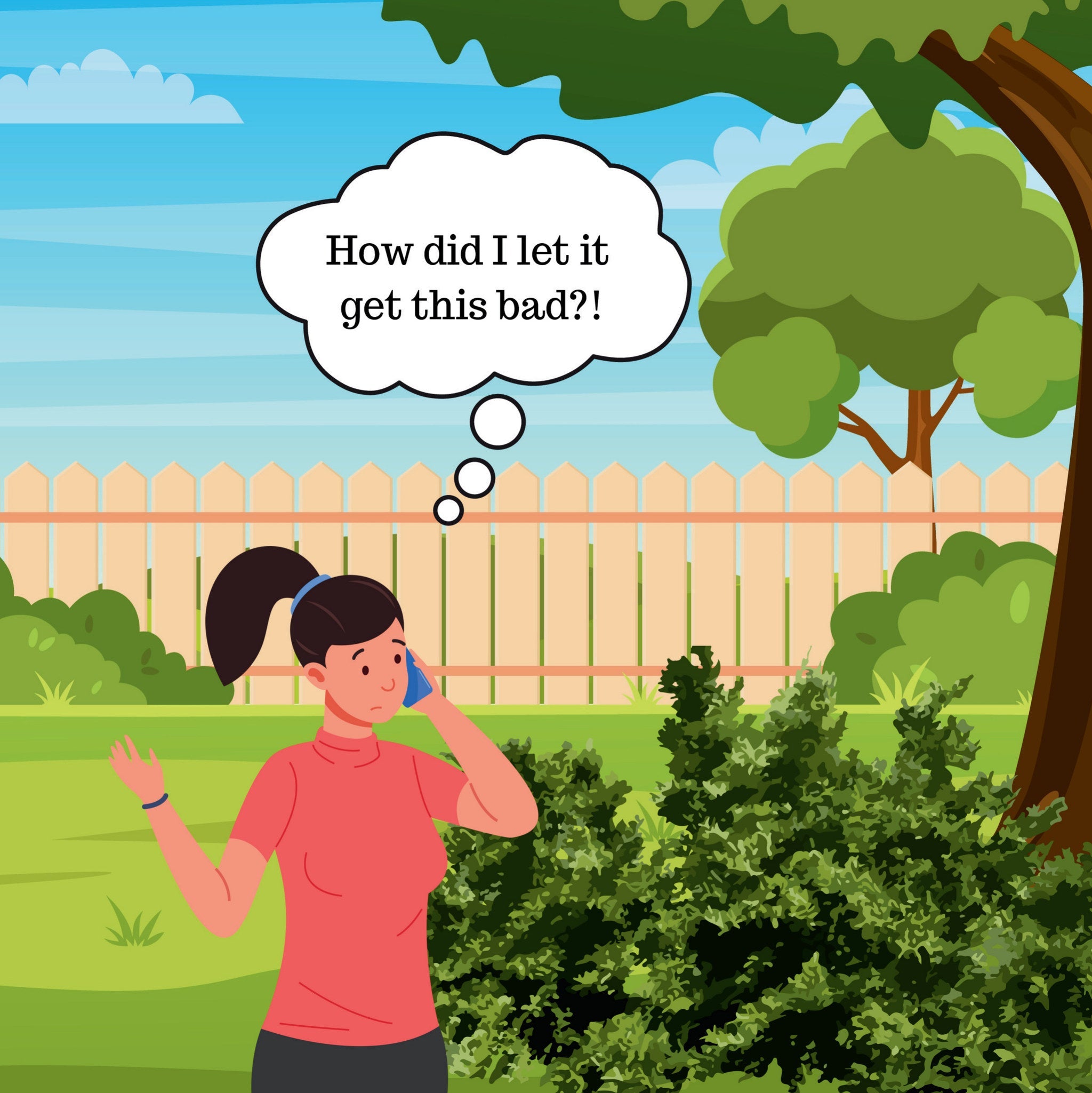 Graham The Gardener: Trims A Neat Bush