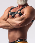 Harness